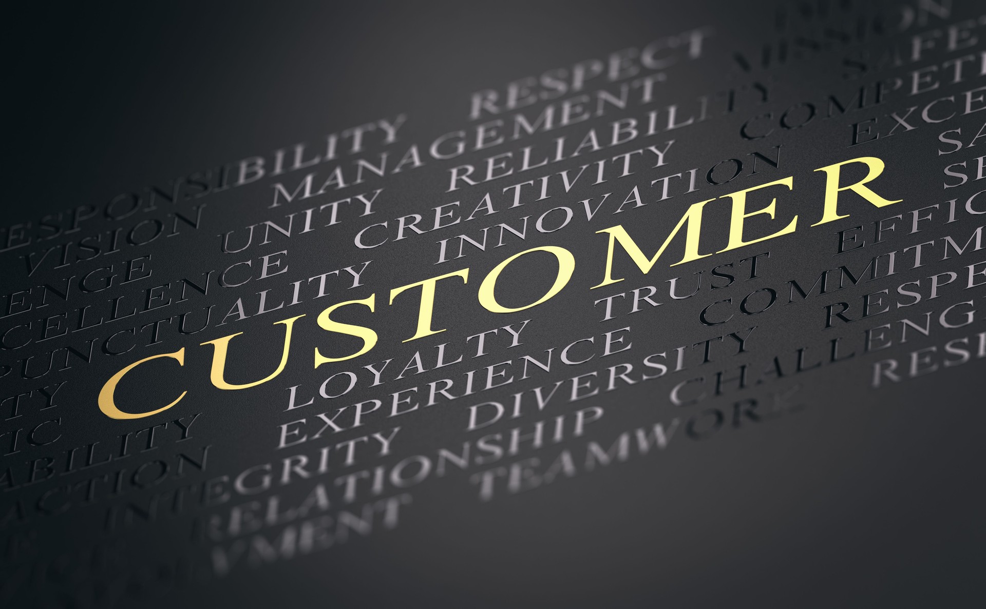 Customer Centric Concept, Compagny Values